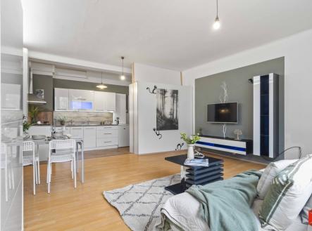 Prodej bytu, 1+kk, 46 m²