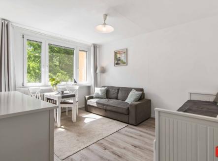 Prodej bytu, 1+kk, 33 m²