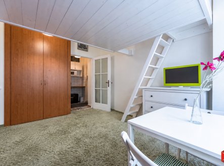 Pronájem bytu, 1+kk, 18 m²