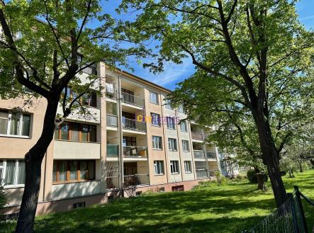 112 m2 velký byt 4+1, dvě lodžie, v ulici Dětská blízko metra Strašnická
