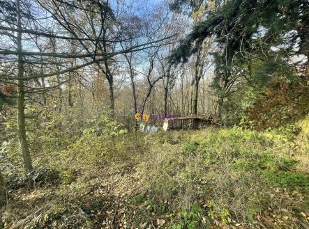 Prodej pozemku, trvalý travní porost, 1 643 m²