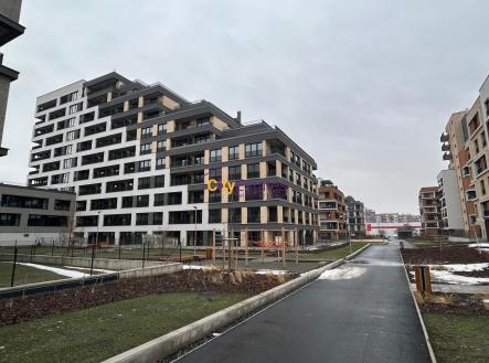 Pronájem bytu, 1+kk, 32 m²