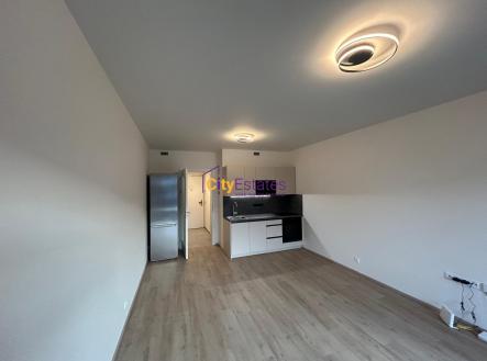 Pronájem bytu, 1+kk, 32 m²