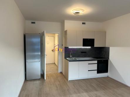 Pronájem bytu, 1+kk, 32 m²