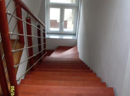 stažený soubor (3).jpg