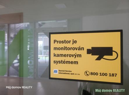 nab_466092899.jpg