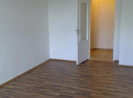stažený soubor (12).jpg