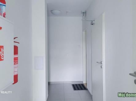 nab_467997337.jpg