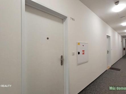 nab_470684321.jpg