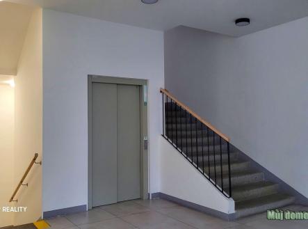 nab_470684319.jpg