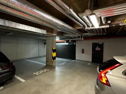 Obrázek WhatsApp, 2025-09-16 v 11.51.03_88ddca61.jpg