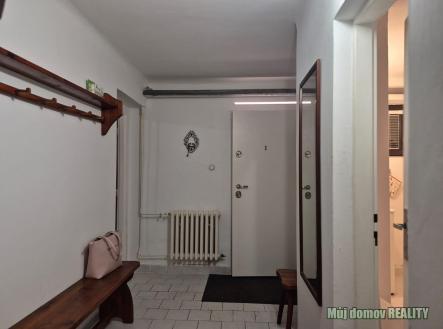 Obrázek WhatsApp, 2025-10-29 v 18.12.40_84249b64.jpg