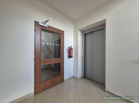 Obrázek WhatsApp, 2025-10-26 v 20.26.28_80b216f2.jpg