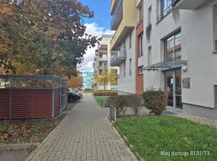 Obrázek WhatsApp, 2025-10-26 v 20.26.25_d835cb0c.jpg