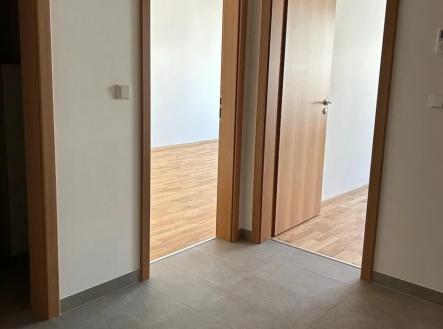 571318402_1566384077866083_3826998442968025333_n (1).jpg