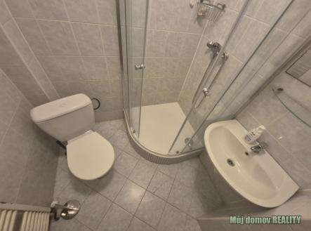 Obrázek WhatsApp, 2025-10-28 v 13.00.16_34f781a0.jpg