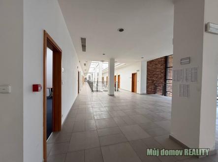 2025-08-06 12.12.14.jpg