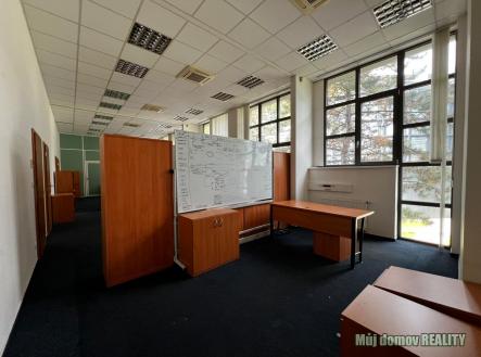 WhatsApp Image 2025-10-07 at 11.51.20 (3).jpeg