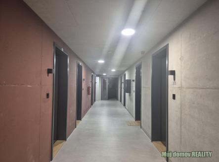 Obrázek WhatsApp, 2025-11-03 v 22.31.10_6731b626.jpg