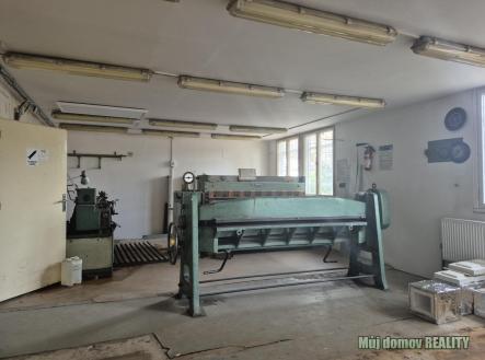 Obrázek WhatsApp, 2025-11-04 v 17.12.42_d07e9060.jpg