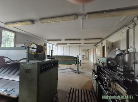 Obrázek WhatsApp, 2025-11-04 v 17.12.42_bf68362c.jpg