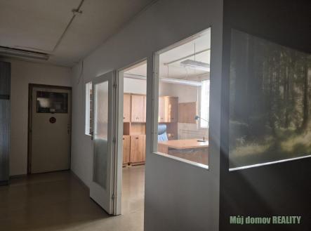 Obrázek WhatsApp, 2025-11-04 v 17.12.45_e02fadb6.jpg