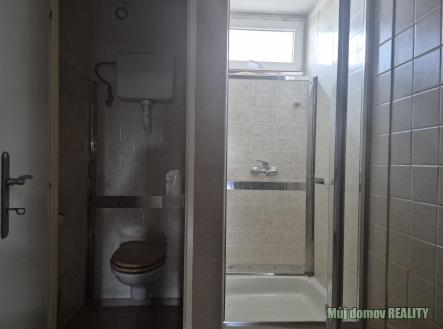 Obrázek WhatsApp, 2025-11-04 v 17.12.49_dfb8913f.jpg