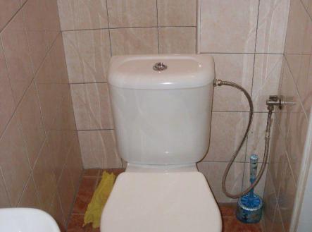 WhatsApp Image 2025-11-05 at 15.34.04.jpeg