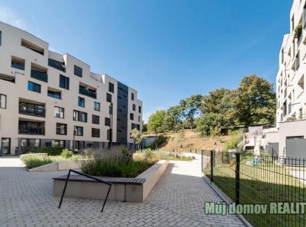 Obrázek WhatsApp, 2025-11-06 v 16.26.51_c9072624.jpg