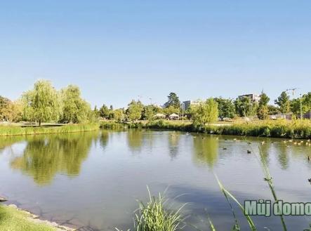 579451135_1580687473102410_8074472508562139491_n (1).jpg