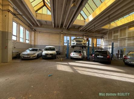 WhatsApp Image 2025-11-12 at 14.02.54 (1).jpeg