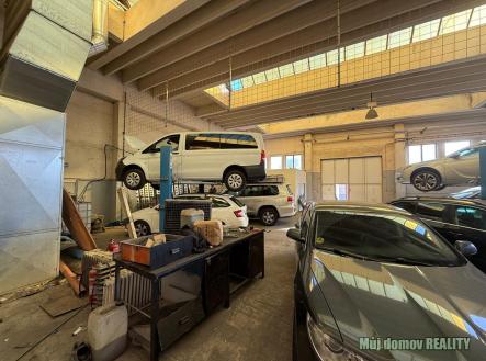 WhatsApp Image 2025-11-12 at 14.02.54.jpeg