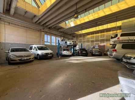 WhatsApp Image 2025-11-12 at 14.02.53 (3).jpeg