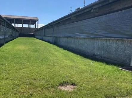 582427436_1582661309571693_157769977261077591_n (1).jpg