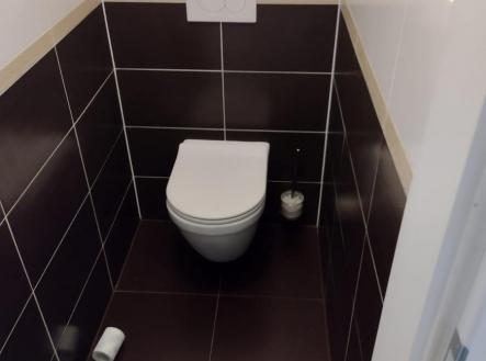 Obrázek WhatsApp, 2025-11-25 v 18.23.51_7e9d7cfc.jpg