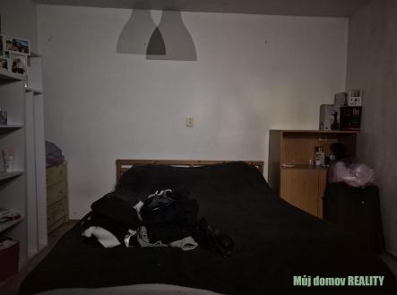 Pronájem domu/vily, 45 m²