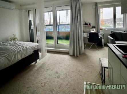 Pronájem bytu, 1+kk, 46 m²