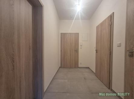 WhatsApp Image 2026-02-18 at 22.15.27.jpeg