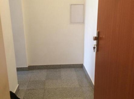 WhatsApp Image 2026-02-14 at 20.40.11 (2).jpeg