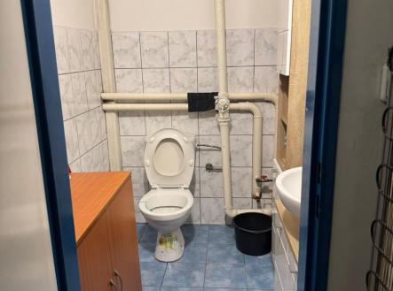 WhatsApp Image 2026-02-12 at 17.22.49.jpeg