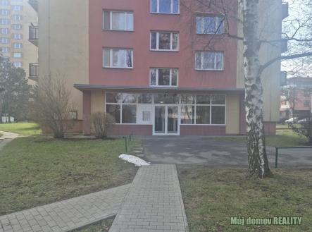 Pronájem bytu, 1+kk, 28 m²