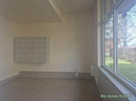 WhatsApp Image 2026-02-19 at m.jpeg