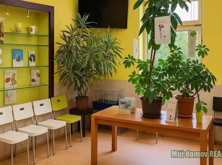 Pronájem obchodní prostor, 300 m²