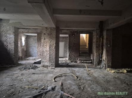 WhatsApp Image 2026-03-10 at 12.37.56.jpeg