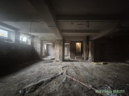 WhatsApp Image 2026-03-10 at 12.37.56ýj.jpeg