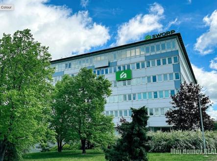 Pronájem kanceláře, 100 m²