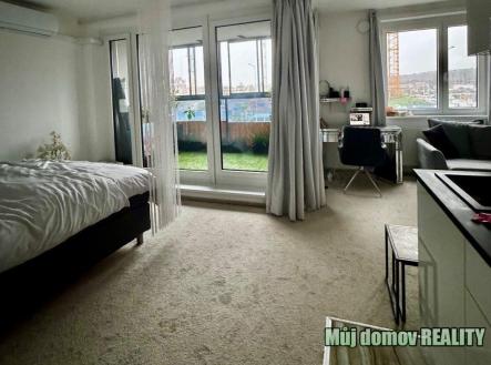 Pronájem bytu, 1+kk, 46 m²