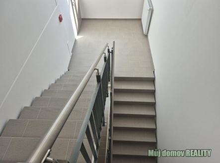 photo_2026-03-18_14-12-33 (2).jpg