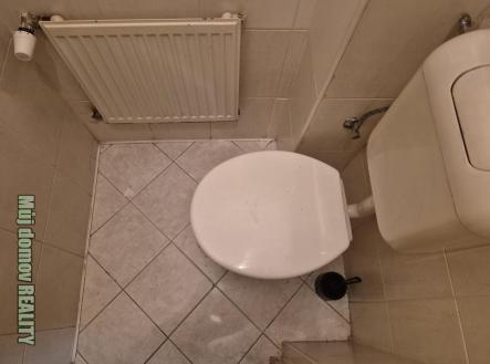 WhatsApp Image 2026-03-11 at 17.08.05.jpeg