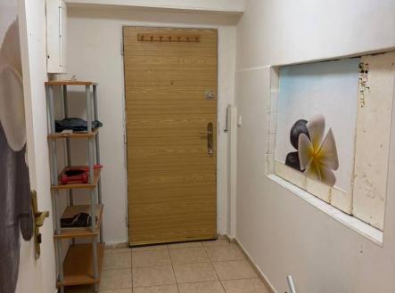 2026-03-17 13.31.48.jpg